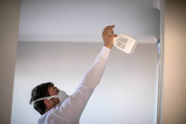 Best Mold Removal Company Near Me  in Rye Brook, NY