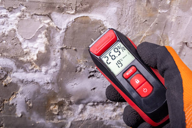 Best Water Damage Restoration  in Rye Brook, NY