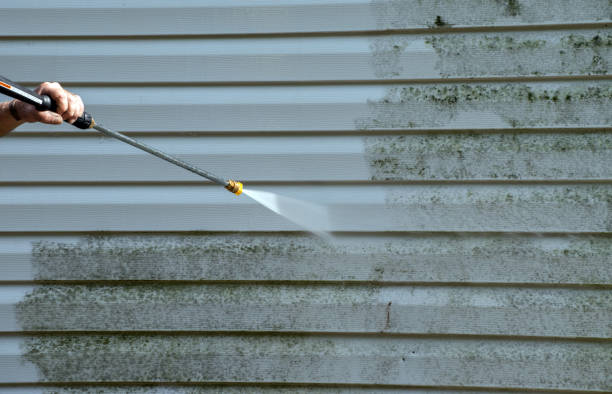 Best Residential Mold Removal  in Rye Brook, NY