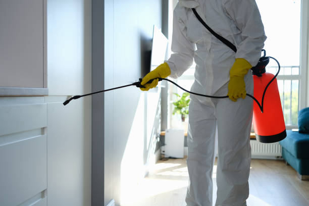 Best Best Mold Removal Companies  in Rye Brook, NY