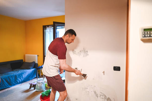 Best Professional Mold Removal  in Rye Brook, NY